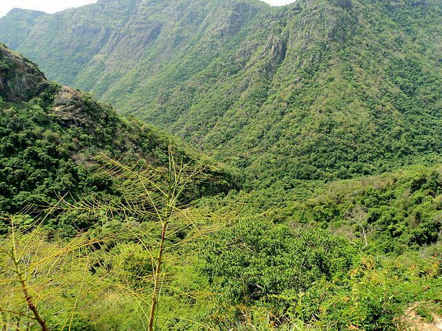 Green hill valley view